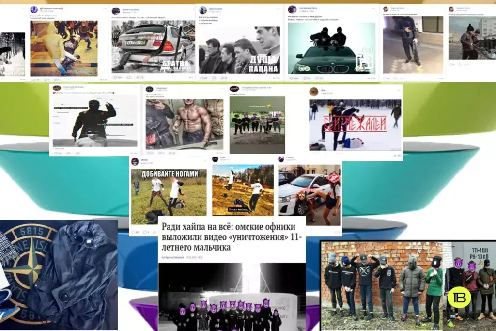 Скриншот из презентации главы союза «Родительская палата» Андрея Афанасьева